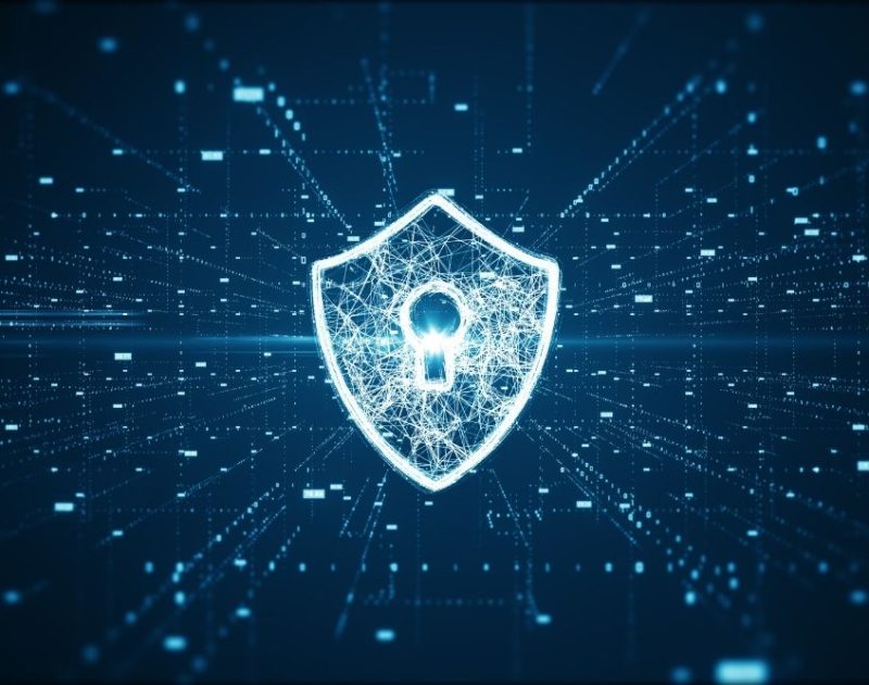 WordPress Security