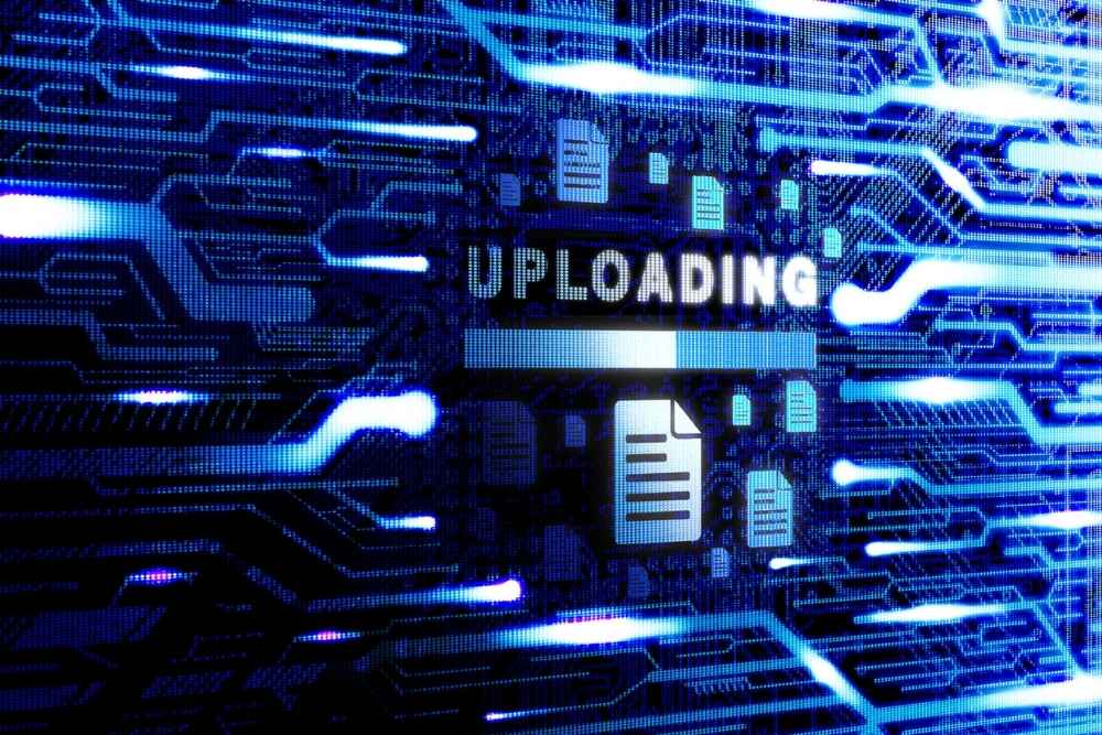 Restrict File Uploads & Permissions