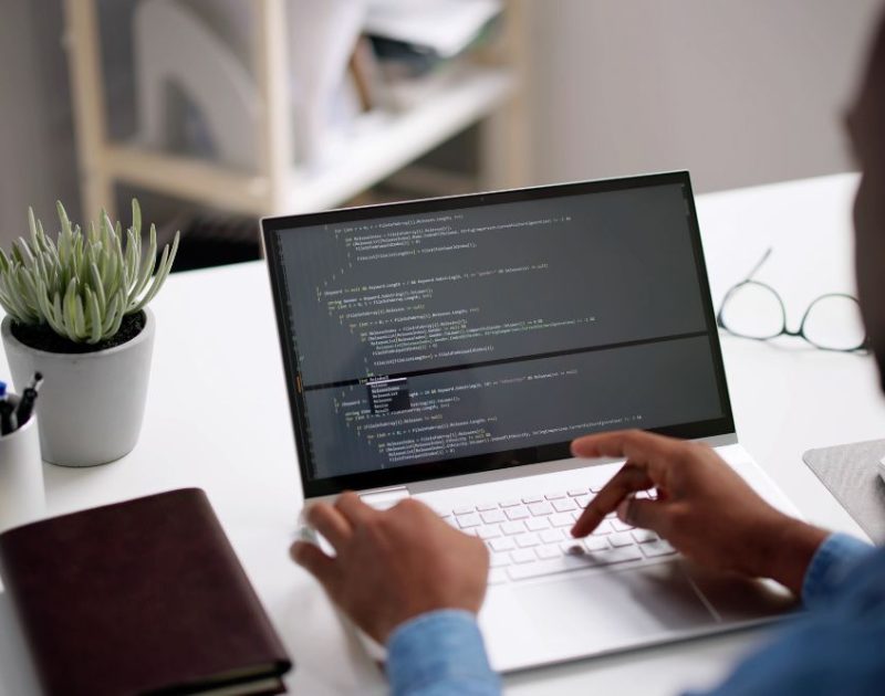 enterprise web portal development